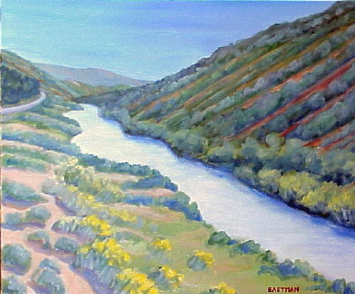 New Mexico, Rio Grande, 20 x 24.JPG